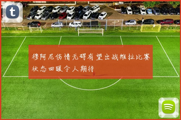 穆阿尼伤情无碍有望出战维拉比赛状态回暖令人期待