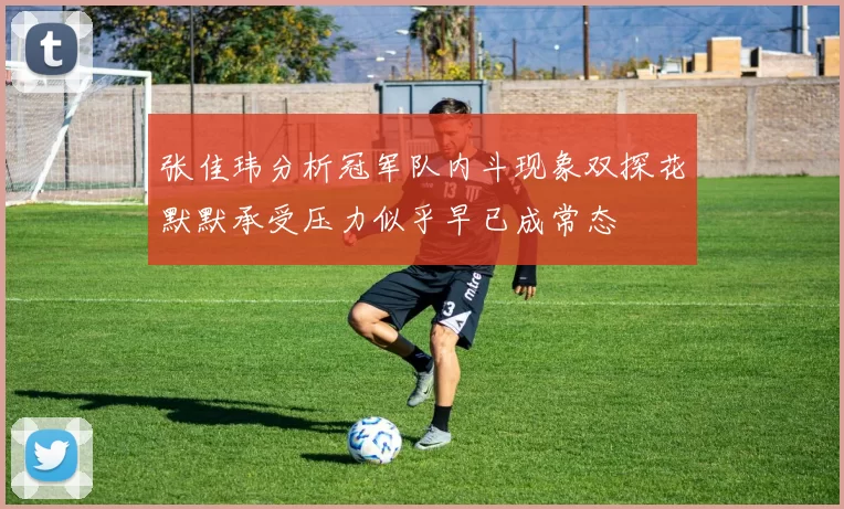 张佳玮分析冠军队内斗现象双探花默默承受压力似乎早已成常态