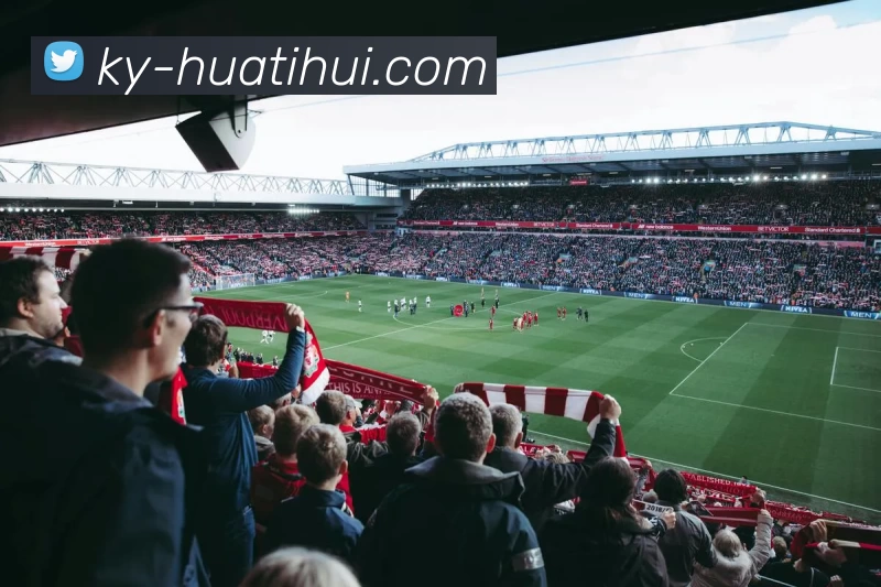 奖项证书